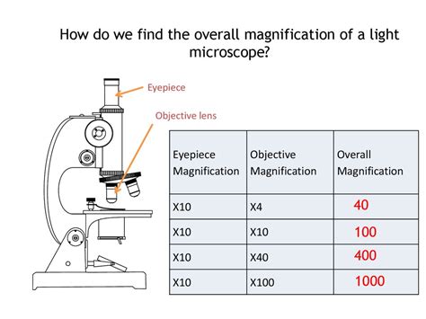 the total magnification of an object can be found by